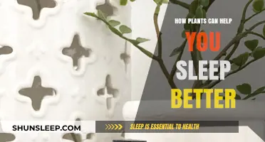Enhance Your Sleep Naturally: The Power of Plants for Restful Nights
