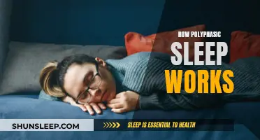 Polyphasic Sleep: How Does It Work?