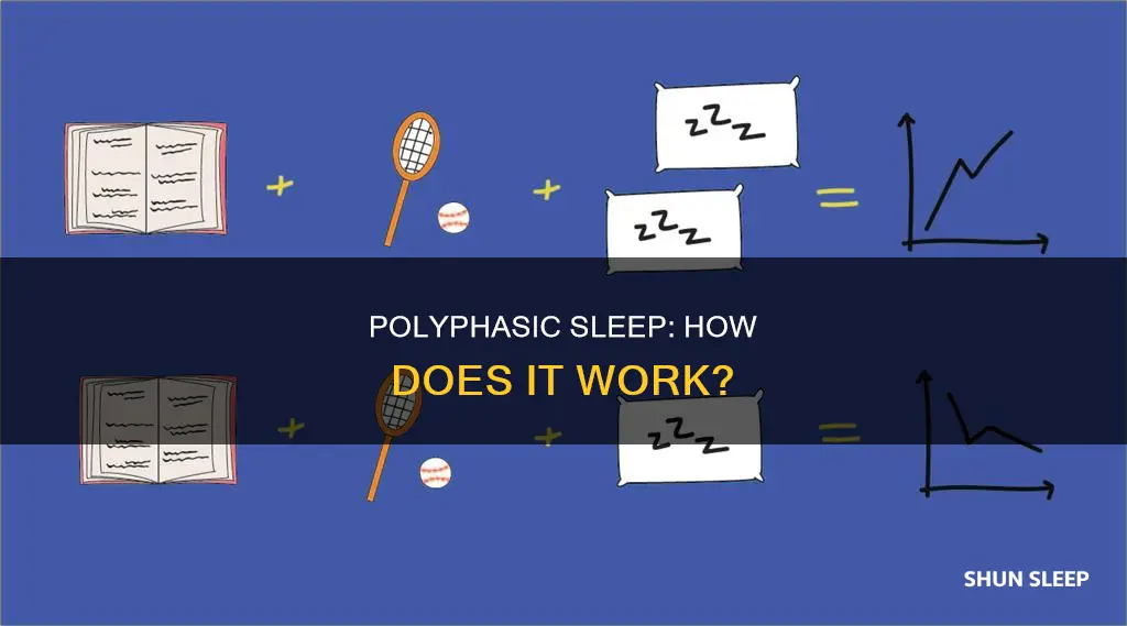 how polyphasic sleep works