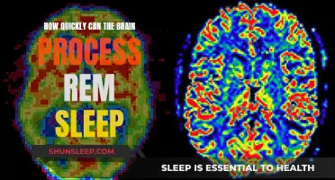 The Brain's REM Sleep: Rapid Processing and Restoration