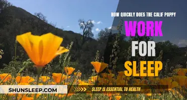 Does California Poppy Work Quickly for Sleep?