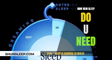 Understanding REM Sleep: How Much Do You Need?