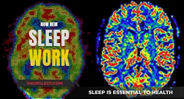 Understanding REM Sleep: The Science Behind Our Dreams