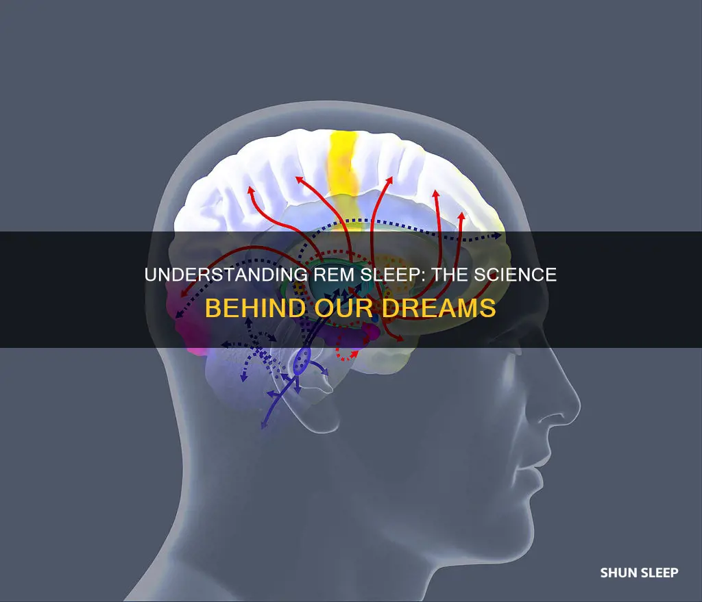 how rem sleep work