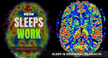 REM Sleeps: Understanding the Science of Sleep and Dreams