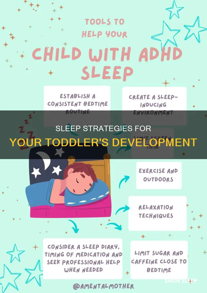 how should 2 year old