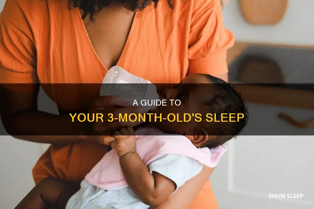 how should a 3 month old sleep