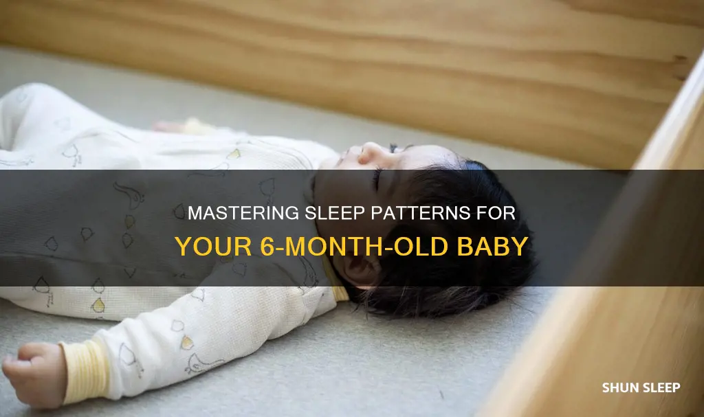 how should a 6 month old sleep
