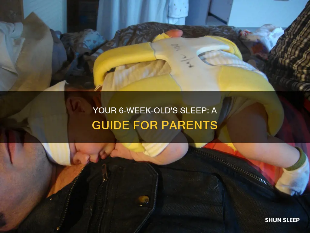 how should my 6 week old be sleeping