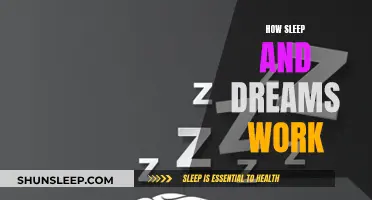 Understanding Sleep and Dreams: The Science Behind Shut-Eye