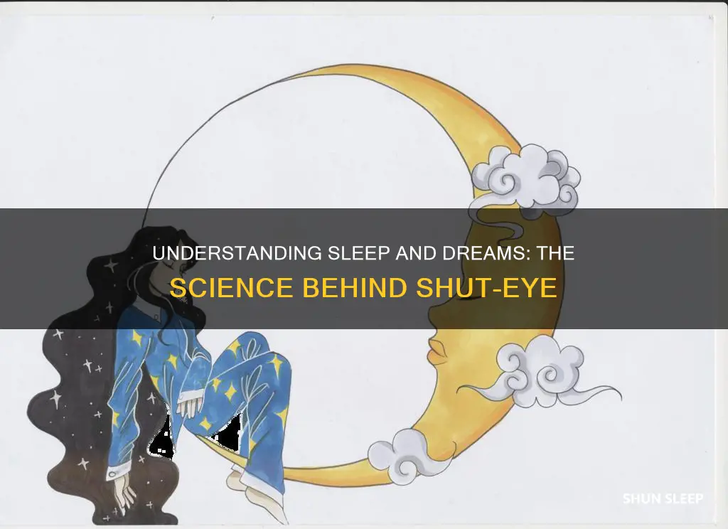 how sleep and dreams work