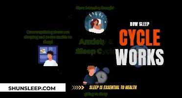 Understanding the Intricacies of Sleep: A Cycle Explored