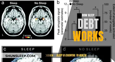 Sleep Debt: Understanding the Cost of Lost Sleep