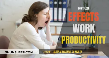 Sleep Quality: Work Productivity's Best Friend or Worst Enemy