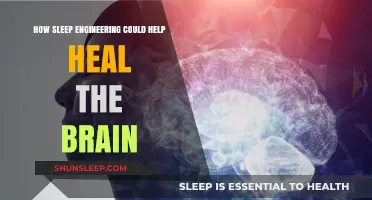 Sleep Engineering: Unlocking Brain Healing and Cognitive Recovery Innovations