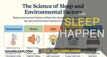 Understanding the Science of Sleep