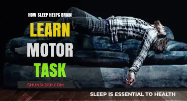 Sleep's Role in Enhancing Brain's Motor Skill Learning Process