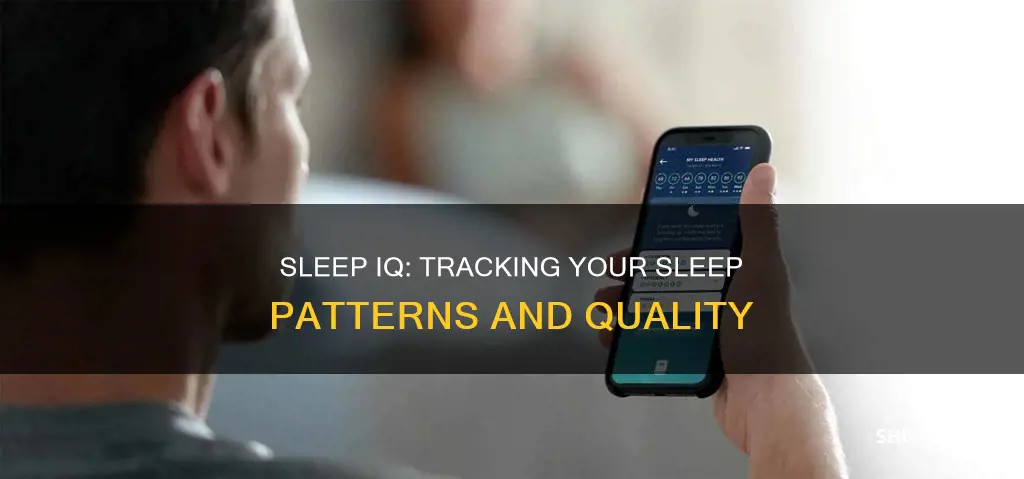 how sleep iq tracks your sleep