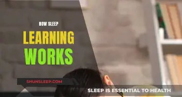 Sleep Learning: Unlocking the Power of Sleep