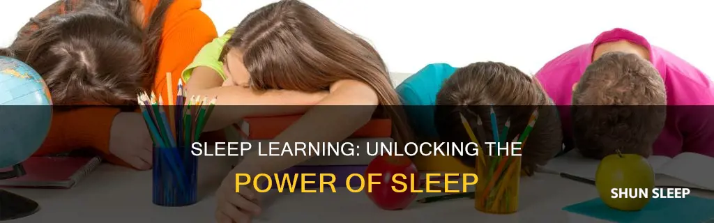how sleep learning works