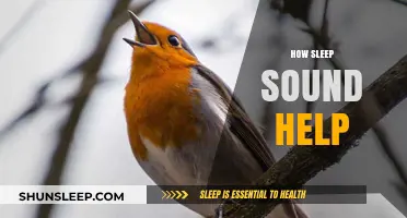 Enhance Your Sleep Quality: The Power of Sleep Sounds Explained