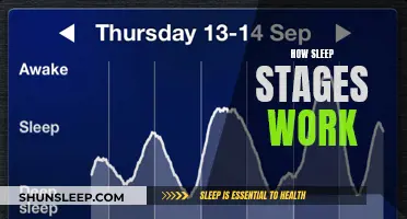 Understanding Sleep: Stages of Sleep Explained