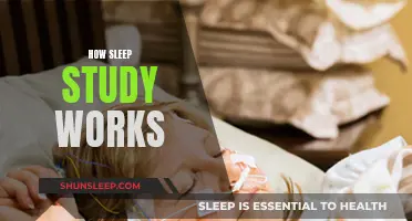 Sleep Study: Understanding the Science of Sleep