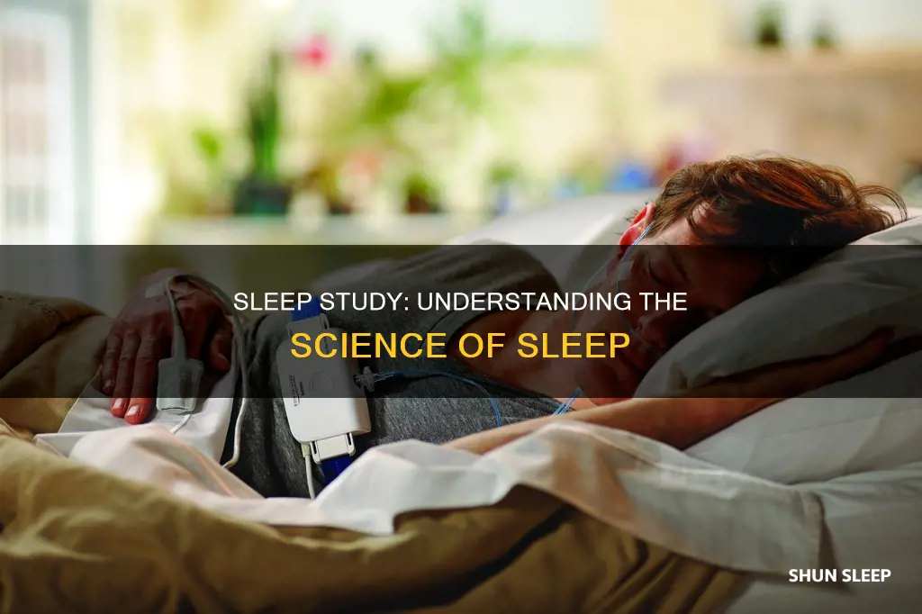 how sleep study works