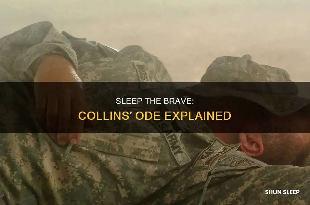 how sleep the brave william collins meaning