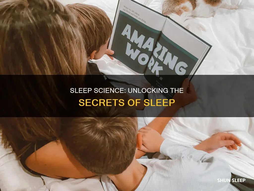 how sleep works book