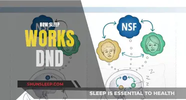 Sleep's Role in DND: A Guide to Understanding Dreams