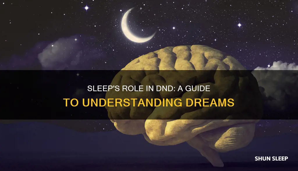 how sleep works dnd