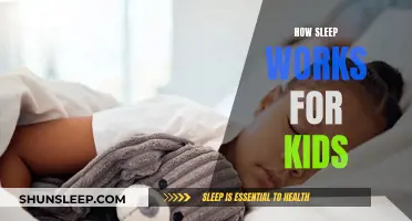 Understanding Sleep: A Guide for Kids and Parents