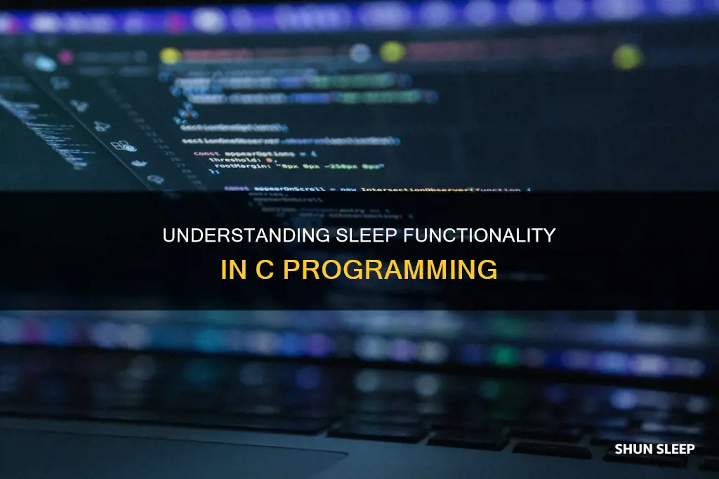 how sleep works in c