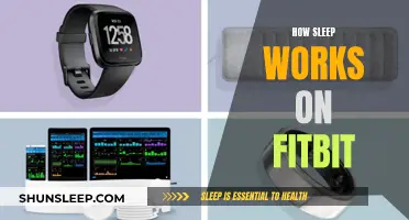Understanding Sleep: Fitbit's Role in Your Rest