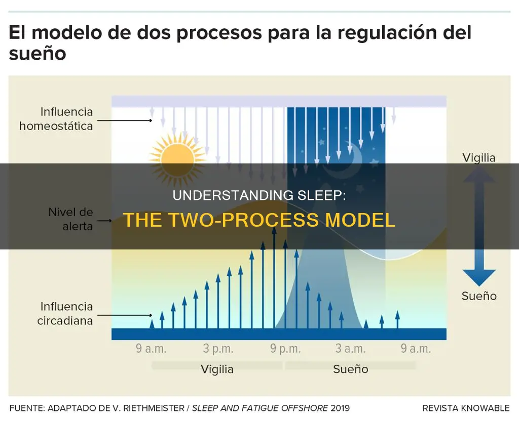 how sleep works two process model