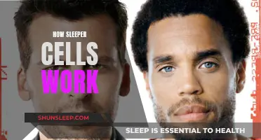 Sleeper Cells: Understanding Their Secretive and Deadly Operations