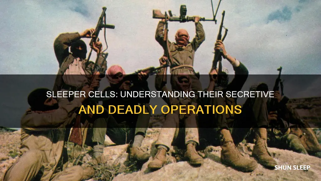 how sleeper cells work