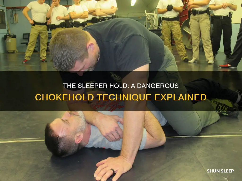 how sleeper hold works