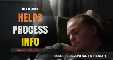 Sleep's Power: Enhancing Brain Function and Information Processing