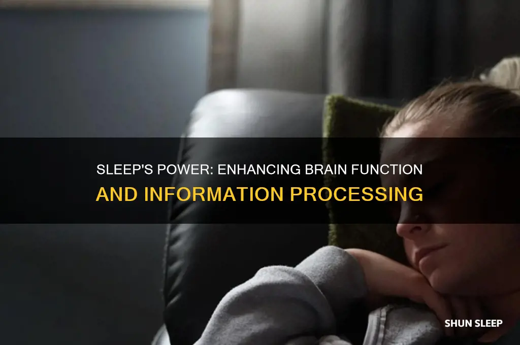 how sleeping helps process info