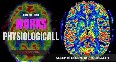 Understanding Sleep: The Science Behind Our Slumber