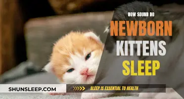 Kittens' Sleep Patterns: Understanding Their Unique Sound Needs