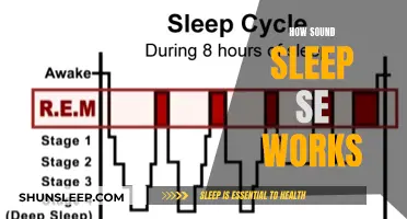 Sound Sleep Solutions: Understanding the Science of Sleep