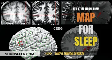 The Science of Sleep: Mapping Brain Activity