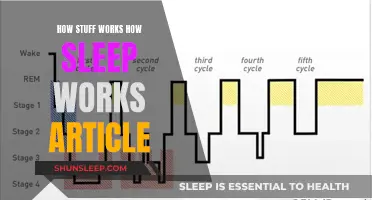 Understanding Sleep: A Guide to a Good Night's Rest