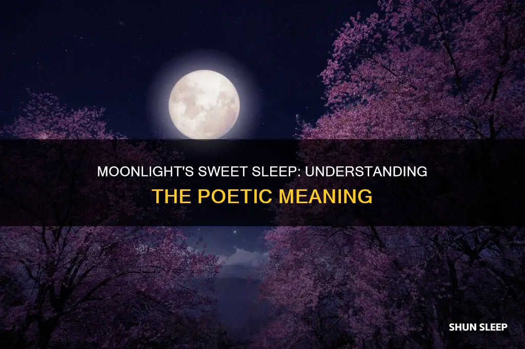 how sweet the moonlight sleeps upon this bank meaning