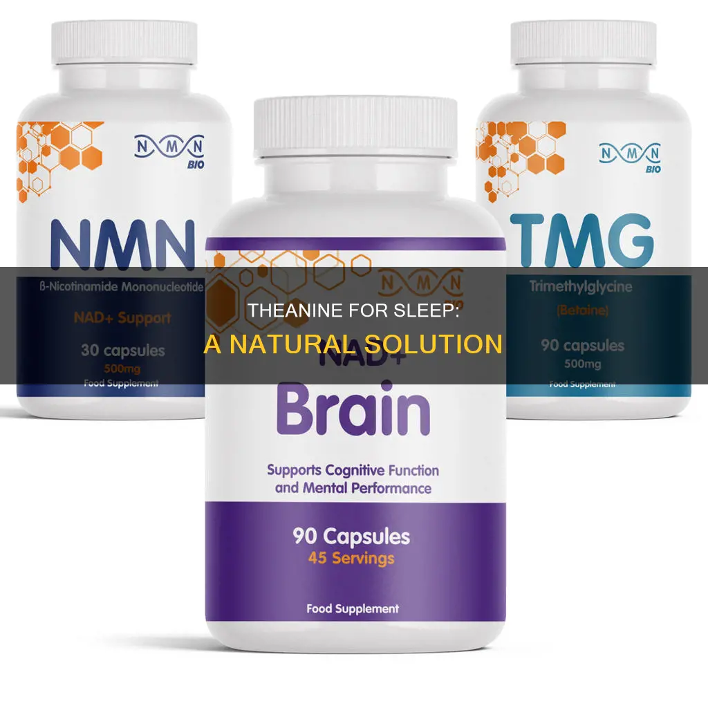 how take theanine for sleep