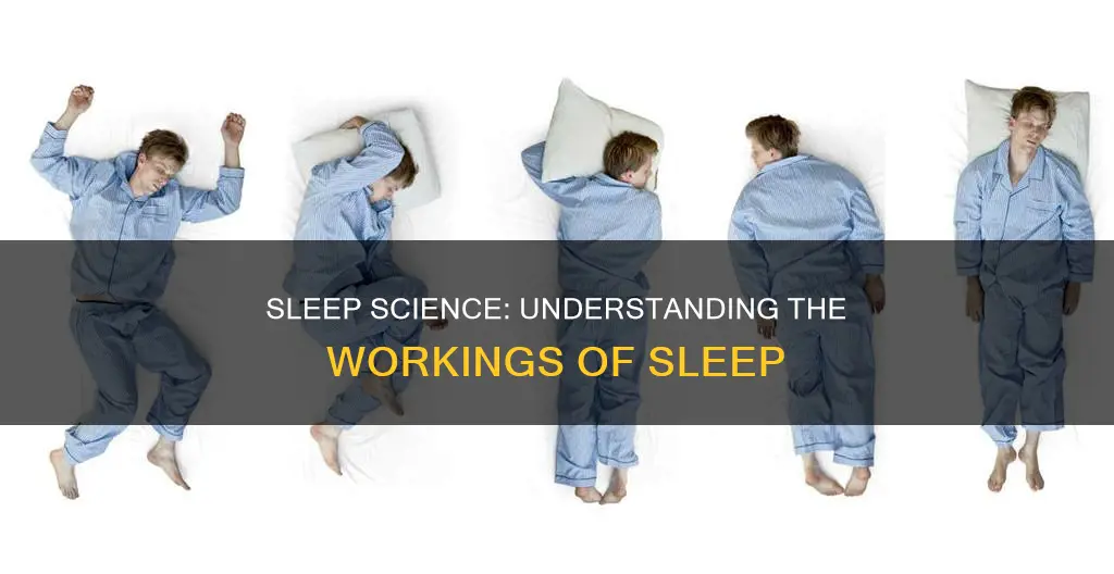 how tdoes sleep work