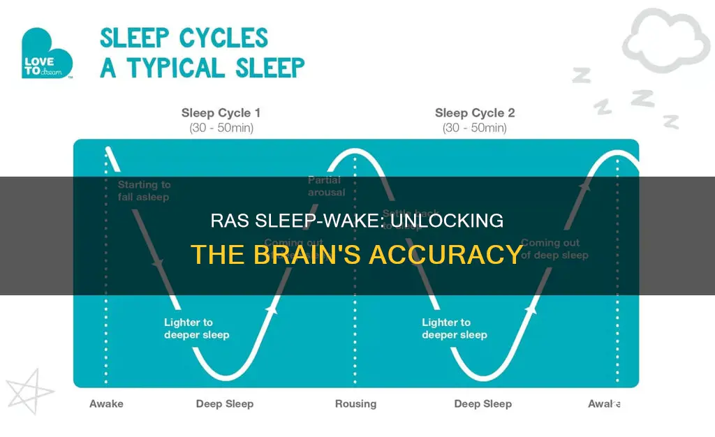 how the ras sleep wake is so accurate